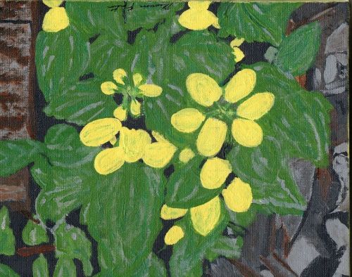 Maureen Fortin